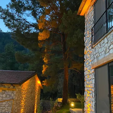 Felicita House Alojamento de Turismo Selvagem