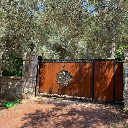 Lodge Felicita House