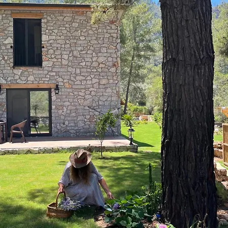Lodge Felicita House Marmaris