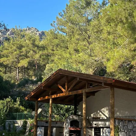 Cabană Felicita House *